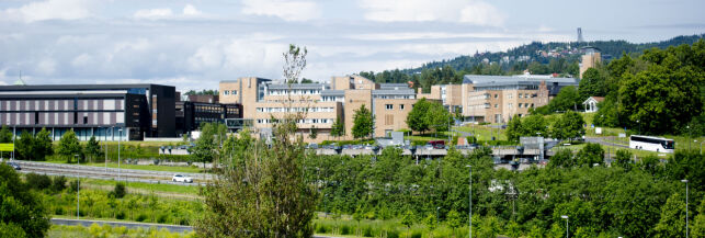 Studieopptaket i år: Her er det bare plass til de aller flinkeste