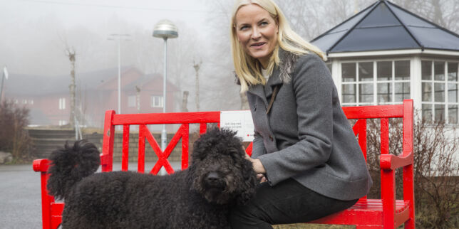 Hunden til kronprinsfamilien er kommet til rette
