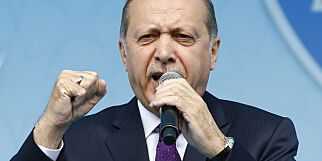 Erdogan lover dødsstraff hvis ja-siden vinner folkeavstemningen