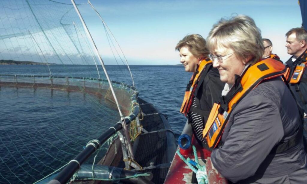 Nå dreper de fjordene