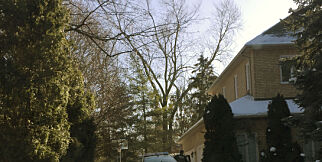This Jan. 6, 2018 photo shows police prowlers parked outside the home of billionaire Barry Sherman and his wife Honey, in Toronto, Canada. There were no signs of forced entry when the Canadian billionaire businessman and his wife were found dead inside their mansion, on Dec. 15, 2017. More than a month later the home remains cordoned off behind yellow police tape and under constant watch by officers. (AP Photo/Rob Gillies)