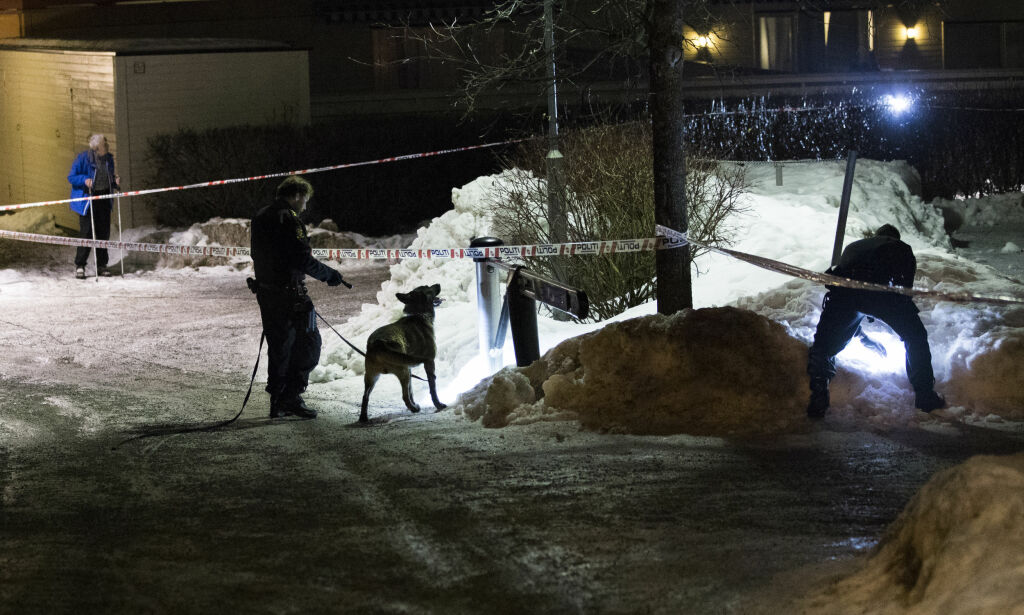 Slik er Oslos gjengmiljø