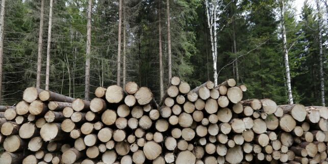 Klarer bygda å ta vare på Norge?