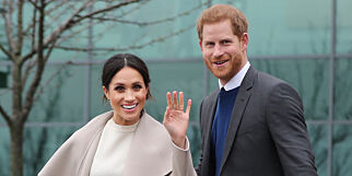 Dette vil prins Harry og Meghans bryllup koste