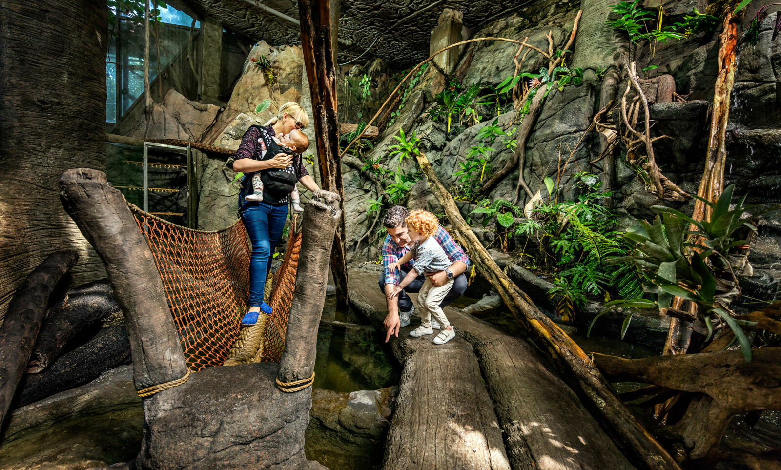 TETT PÅ: Midt i Gøteborg sentrum kan du oppleve dyre- og plantelivet i en ekte tropisk regnskog. Foto: Universeum TETT PÅ: Midt i Gøteborg sentrum kan du oppleve dyre- og plantelivet i en ekte tropisk regnskog. Foto: Universeum