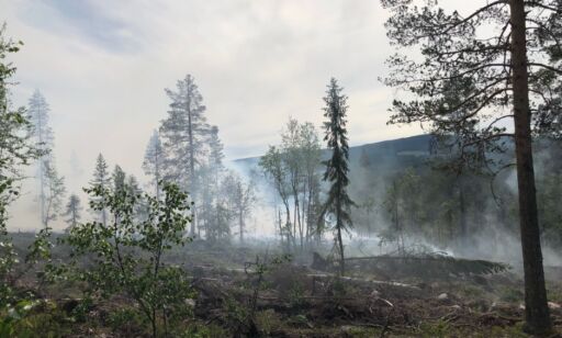 Stor skogbrann i Trysil