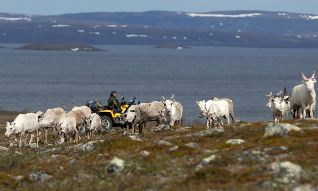 La oss snakke mindre om Finnmark og mer om Akershus