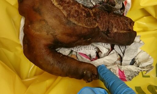 Da tollerne åpnet kofferten, fant de 34,5 kilo med peniser