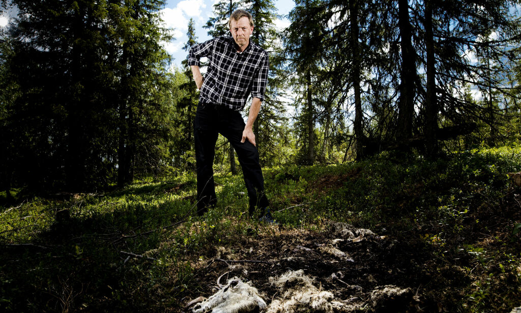 Spår tidenes blodigste sommer