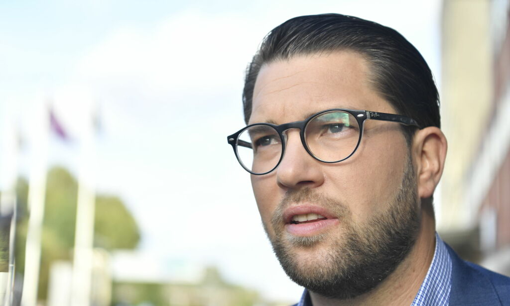 Åkesson: – Vil straffe seg å blokkere oss