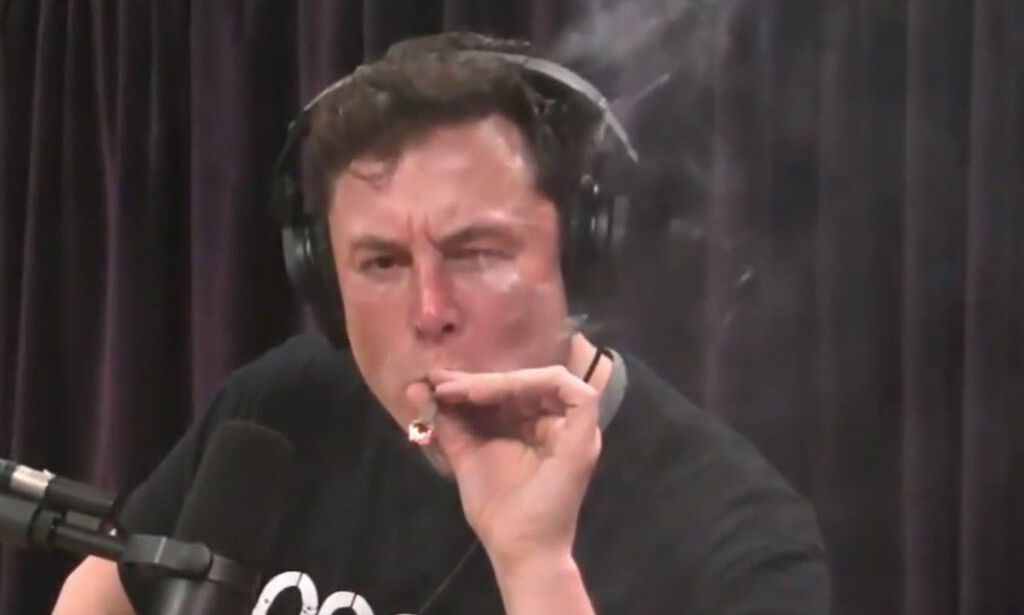 Den kryptiske koden som kan ha felt Elon Musk