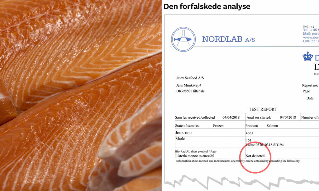 Juks med norsk laks i Danmark: Hør det utrolige lydopptaket