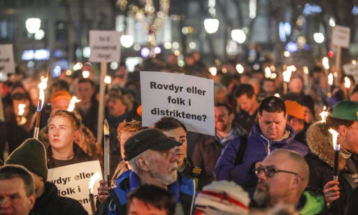 Ulvekjeftens politiske kraft