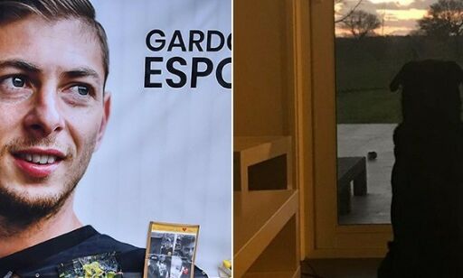Etter flykrasjet sitter hunden og venter